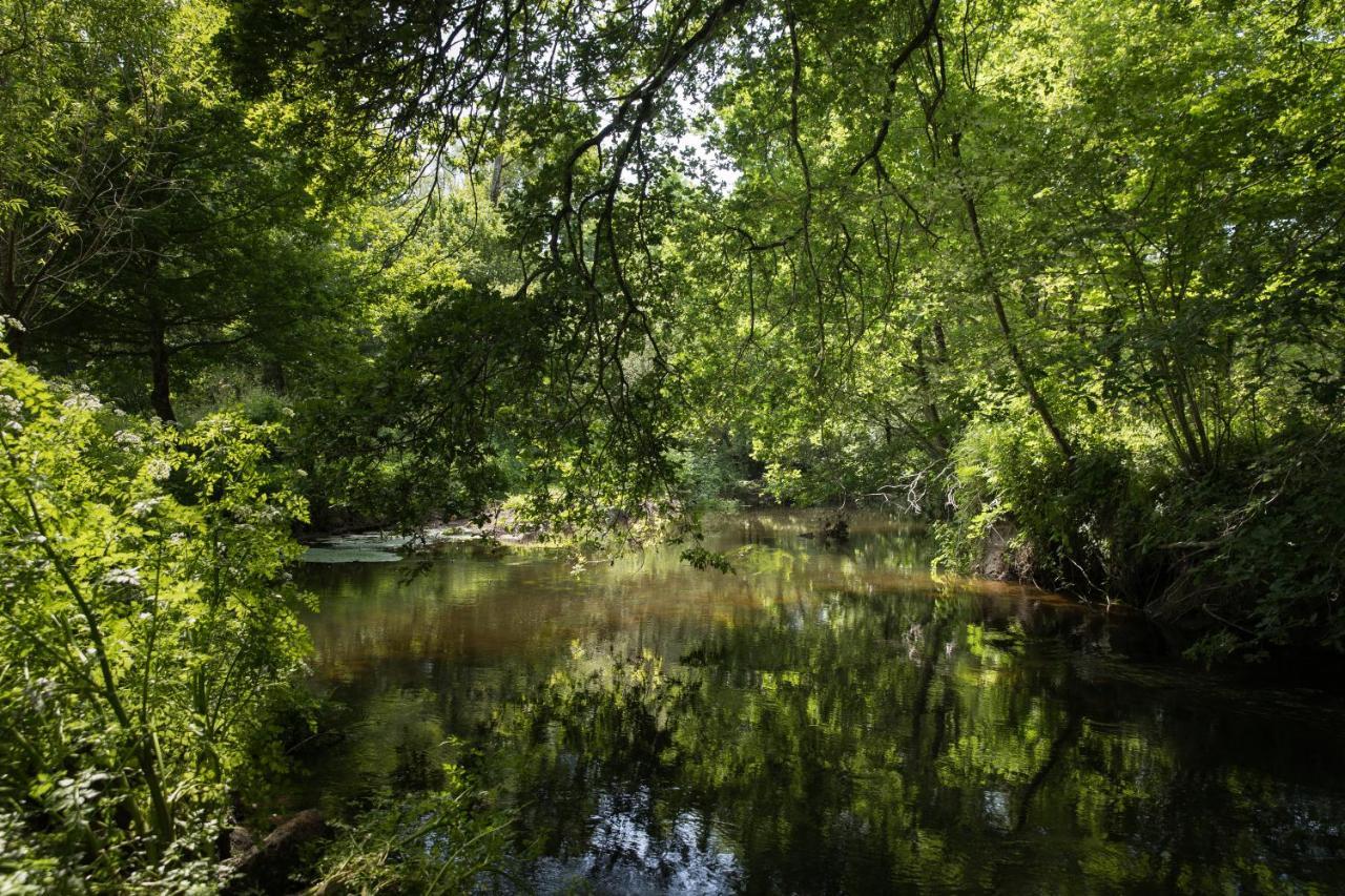 Manoir Du Vau D Arz Gites Et Chambres D Hotes Avec Piscine Malansac Kültér fotó